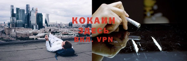 ALPHA PVP Няндома