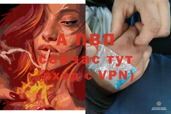 Альфа ПВП Новодвинск