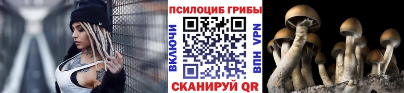 Галлюциногенные грибы GOLDEN TEACHER  где продают   Яровое 
